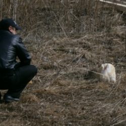 Парень из Москвы. Ищу девушку для занятия сексом без обязательств Парень из Москвы. Ищу девушку для занятия сексом без обязательств