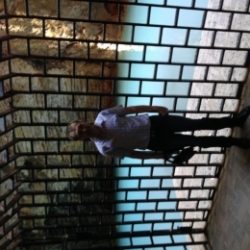 Парень ищет девушку для секса без обязательств, можно замужнюю в Курске Парень ищет девушку для секса без обязательств, можно замужнюю в Курске